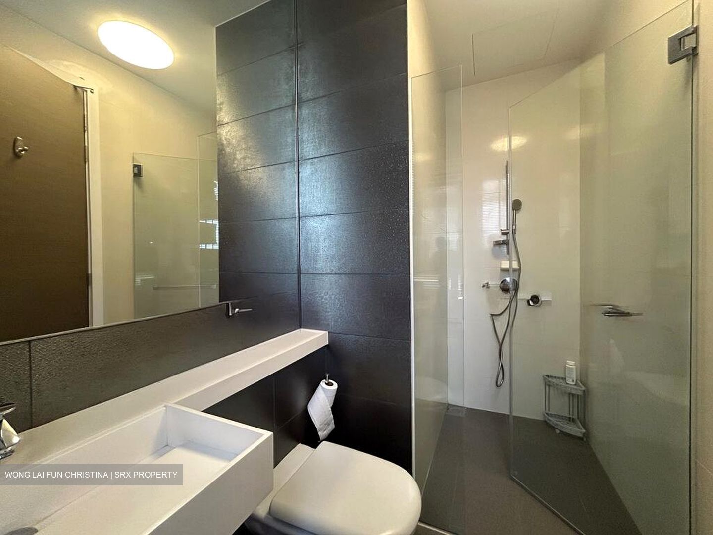 The Trizon (D10), Condominium #519530091